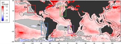 Reduced Nearshore Warming Associated With Eastern Boundary Upwelling Systems